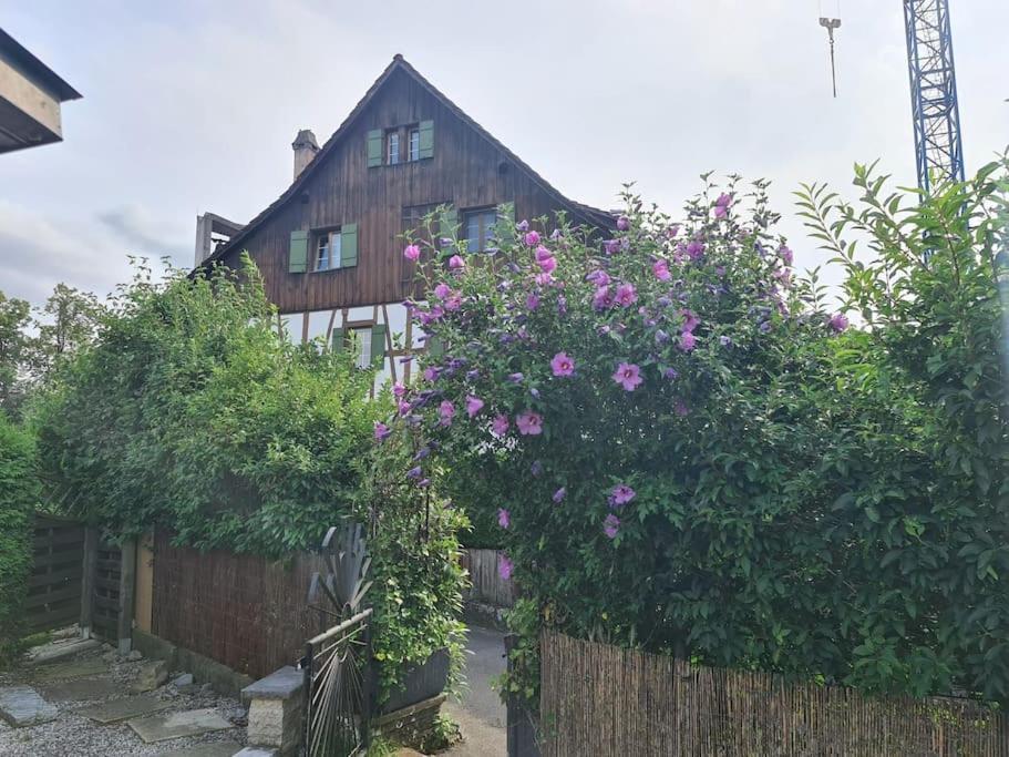 3 Bedroom Swiss House On 3 Floors Oberglatt Εξωτερικό φωτογραφία