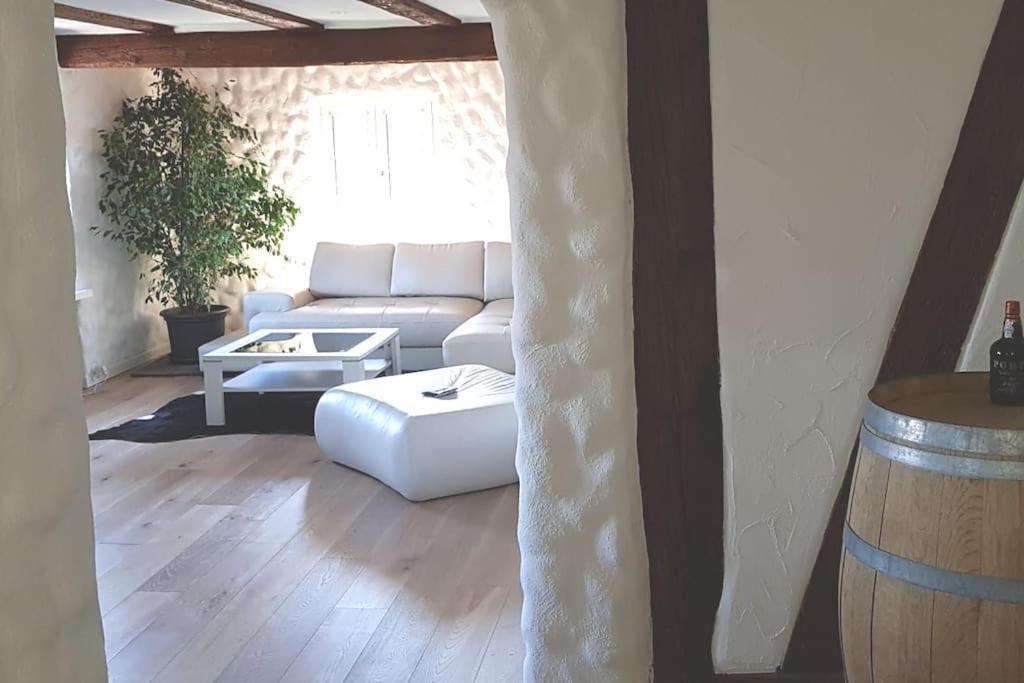 3 Bedroom Swiss House On 3 Floors Oberglatt Εξωτερικό φωτογραφία