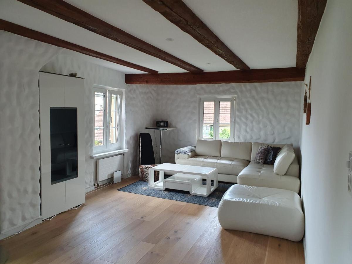 3 Bedroom Swiss House On 3 Floors Oberglatt Εξωτερικό φωτογραφία